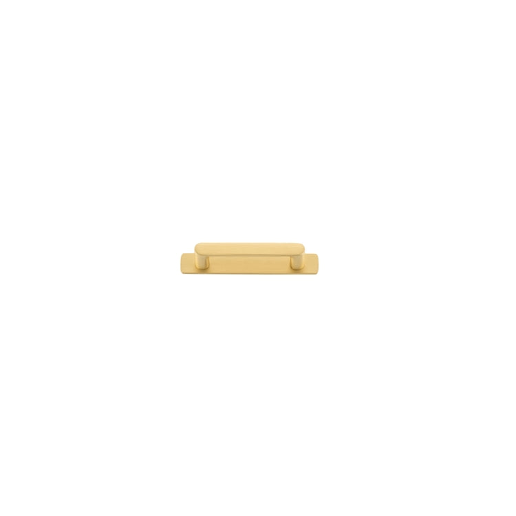 Osaka Cabinet Pull incl Backplate